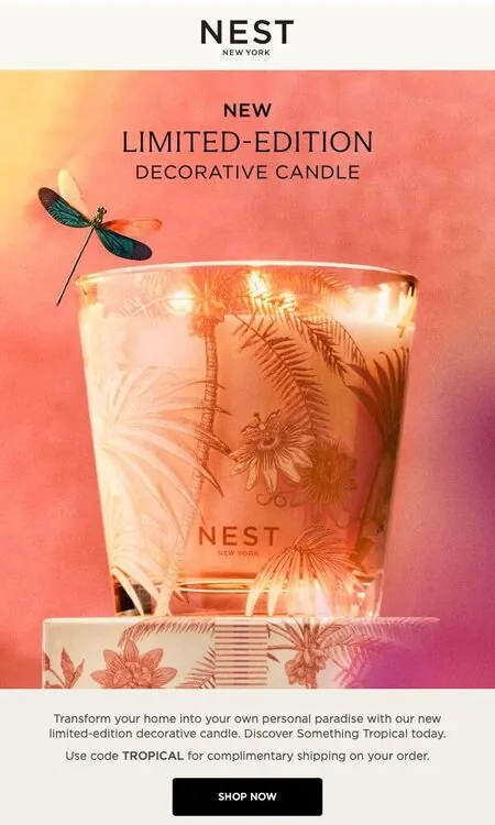 Nest New York email