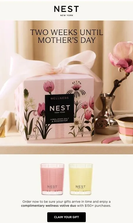 Nest New York email